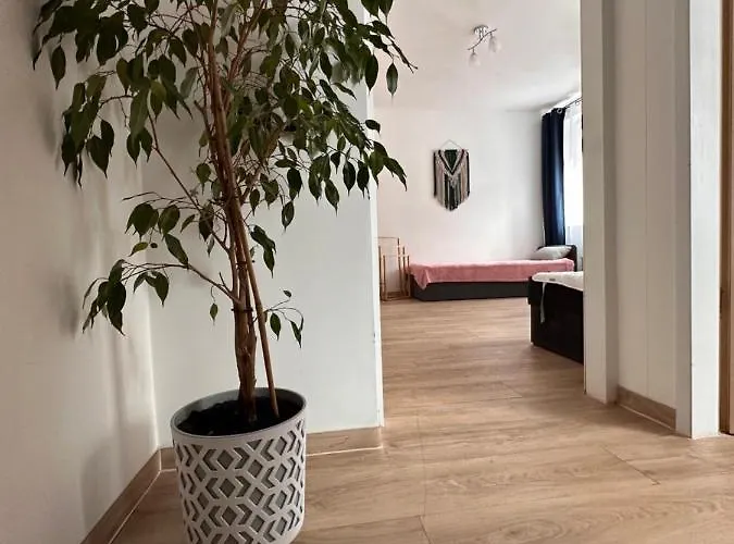 Pod świerkami * Marciszow